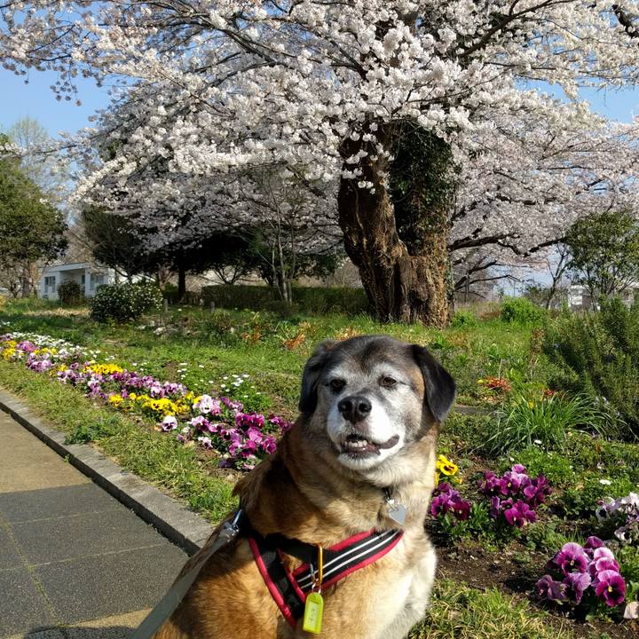 95aaa02d 6558 4b10 a5c9 46dbd3110007 1522197434606