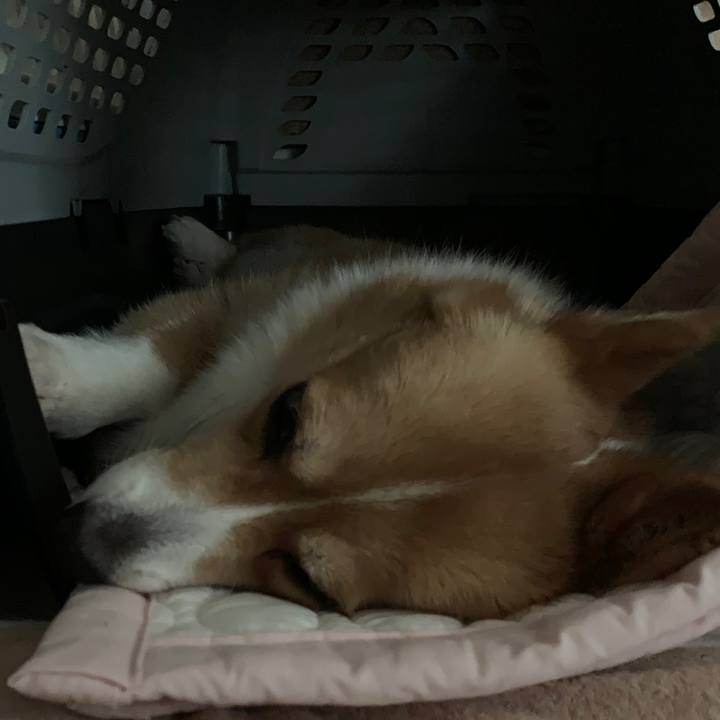 95aae392 a074 4fca b1dd aea8c502958e 1562724898684