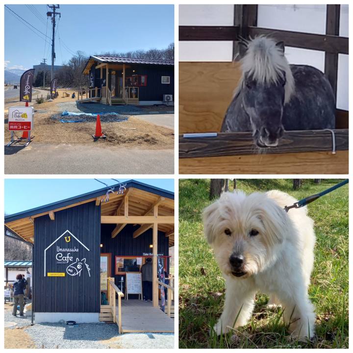 95aafc25 dd14 4729 94ac 08faa4f54cee 1648976942939