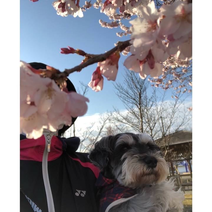 95ab18c7 0d63 4792 8b4e 35c123e11d31 1648946039231