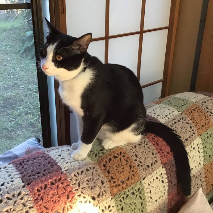 95ab3229 3000 4b86 b9e6 a0f5ee3c3205 1634289917261