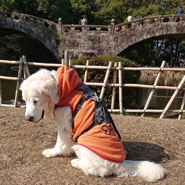 95ab614f 7607 4b77 9e8a f74a7f6bb359 1579445368539