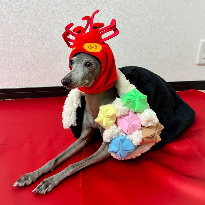 95ab8bde 0268 49c8 ad0e efb18d9305ae 1770115520698