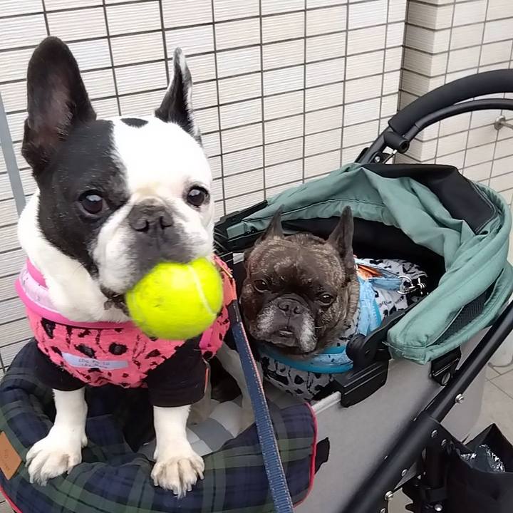 95ab9c68 d473 4749 ab4f 4907d2f3076b 1699683713589