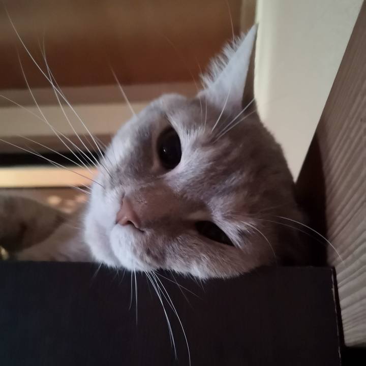 95aba56f ff74 4761 bc8d be12ffdadf8e 1559803688146