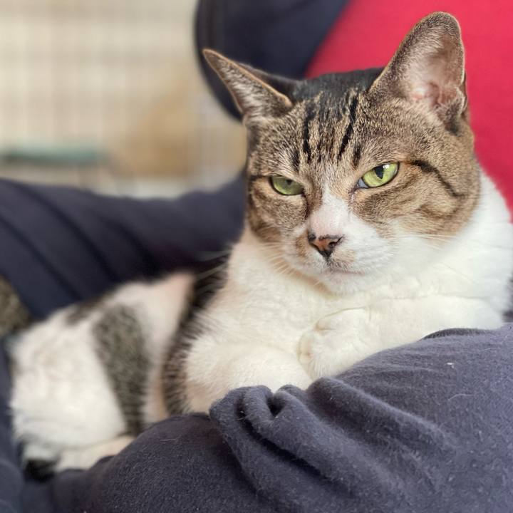 95abcb91 eabd 4141 9ee1 428bc96b212f 1634867844643