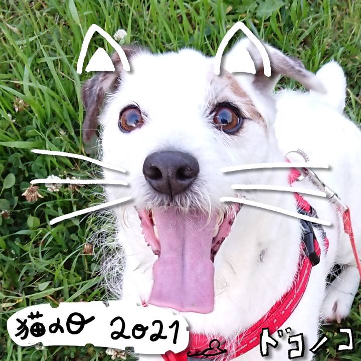 95abff3e f028 46bd befd 48282298dc48 1613962082276