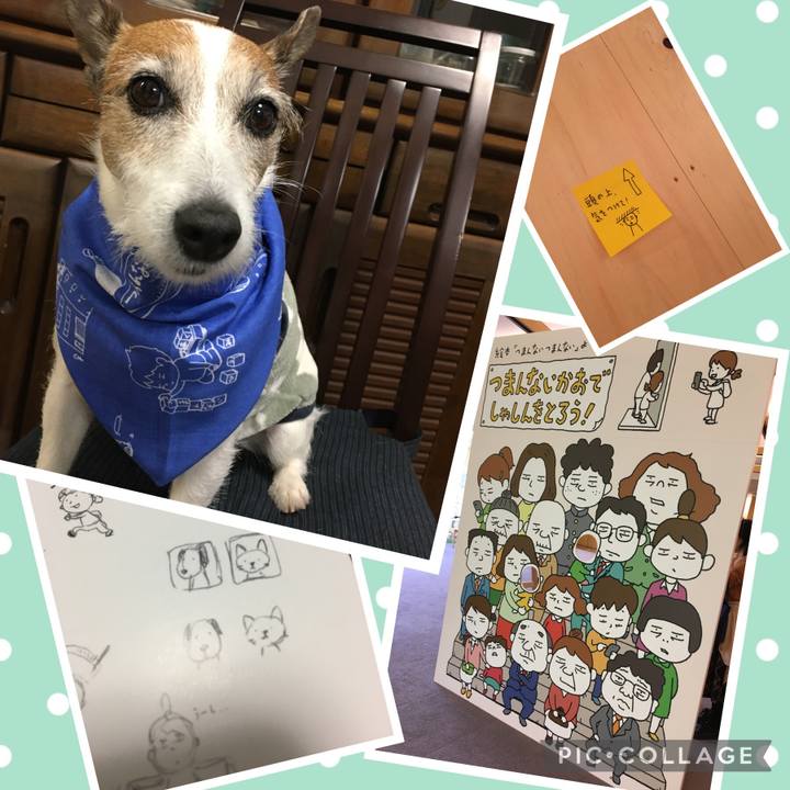 95ac01d8 72b0 43b3 9d6e 7f86b4ad6b09 1653001772732