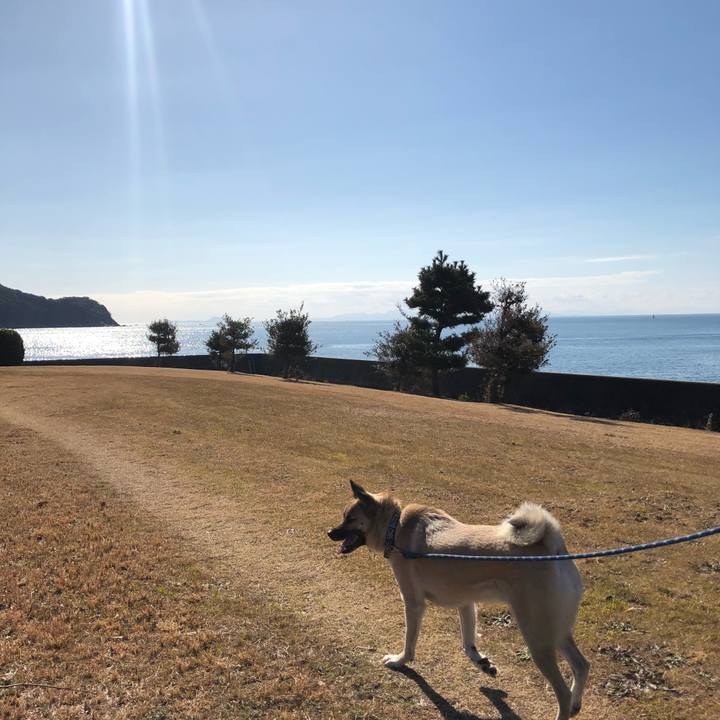 95ac04fd ce43 487e 8cf8 6d653960e163 1548589453646