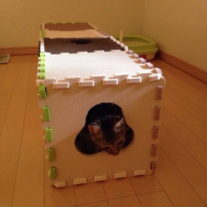 95ac14a6 0f2f 433d a01f 295b7dc72f6f 1514060237228