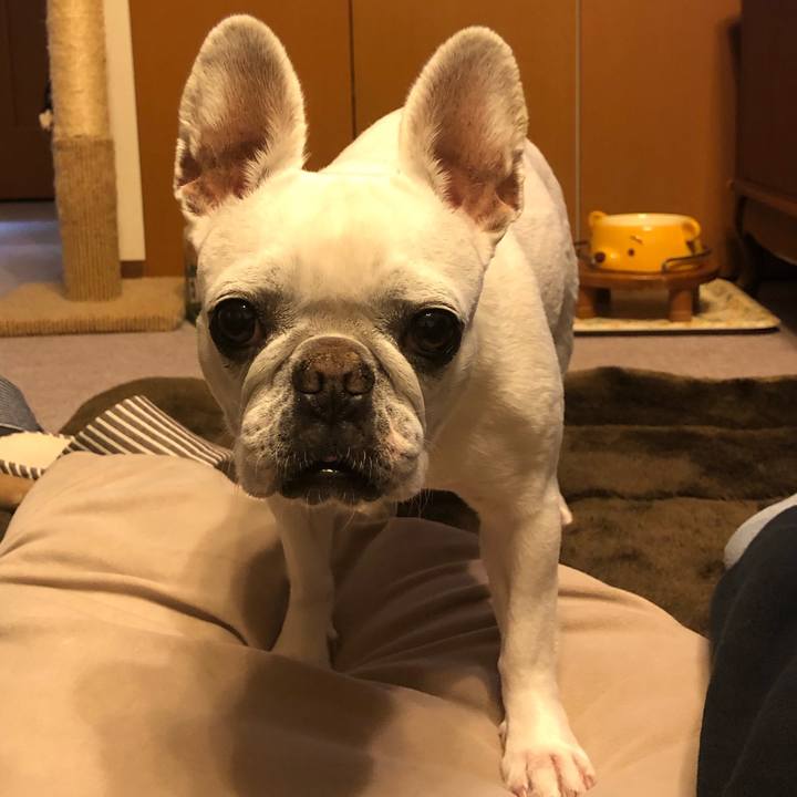 95ac2bfb dbc2 4875 8e1c bf37c22d0a47 1619171623419