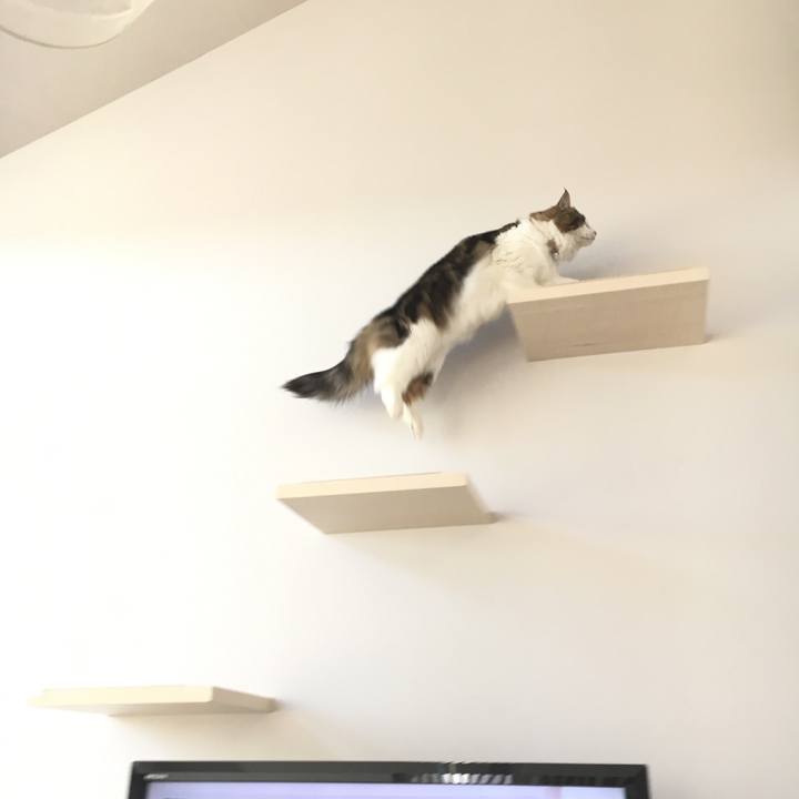 95ac55fb f4db 4b93 a0fe 2d7b666fac0e 1546072520044