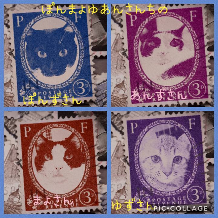 95ac6338 34c4 448e 9f7c 000d0e949b54 1570193991071