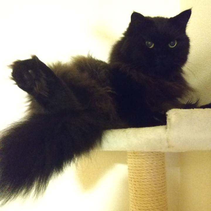 95ac7984 e49d 4dd6 be7f 19c85e38e1a8 1632488410849