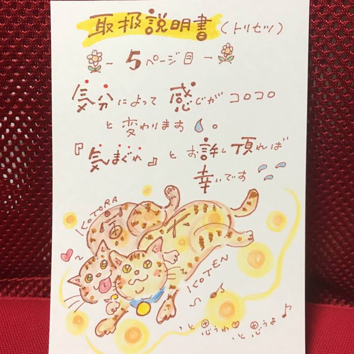 95ac9ab8 6b08 4356 a754 a2ff6244b95a 1562949681247