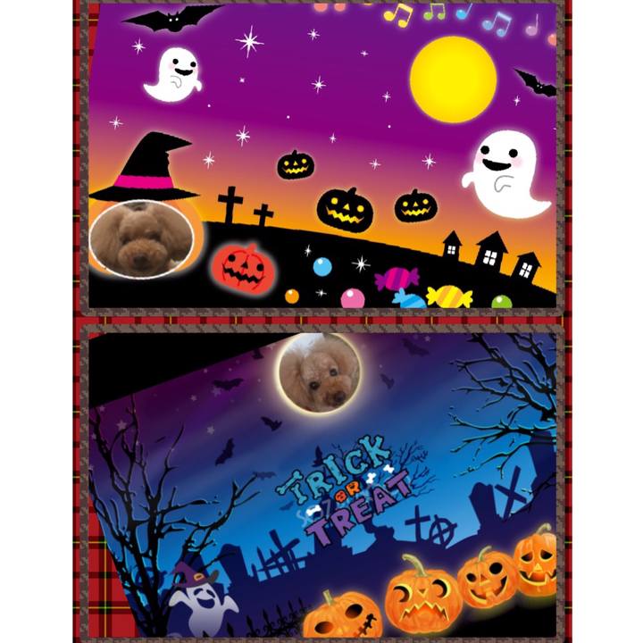 95accb0d 2c75 4f5a 9da5 883a9102b63e 1539499404013