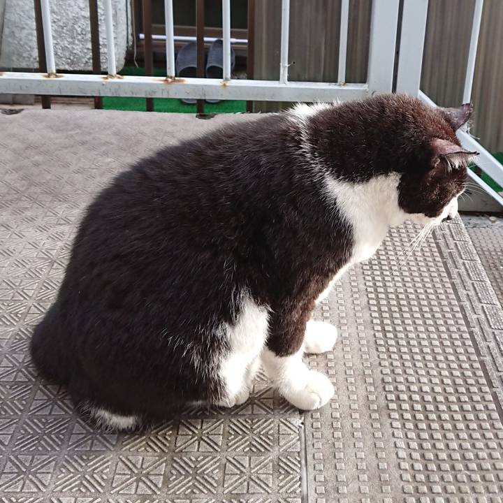 95ad33b8 abff 4e89 ae77 bd3c676cb478 1629282297870