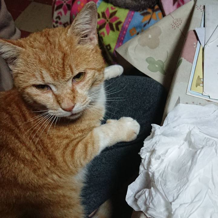 95ad81f3 dbf3 41c2 bedf c556715775e8 1584654701840