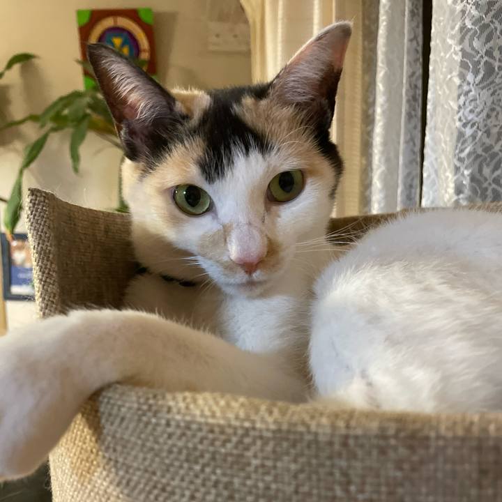 95ad93d9 d960 4d15 93e3 3be0f7550aa2 1705237139015