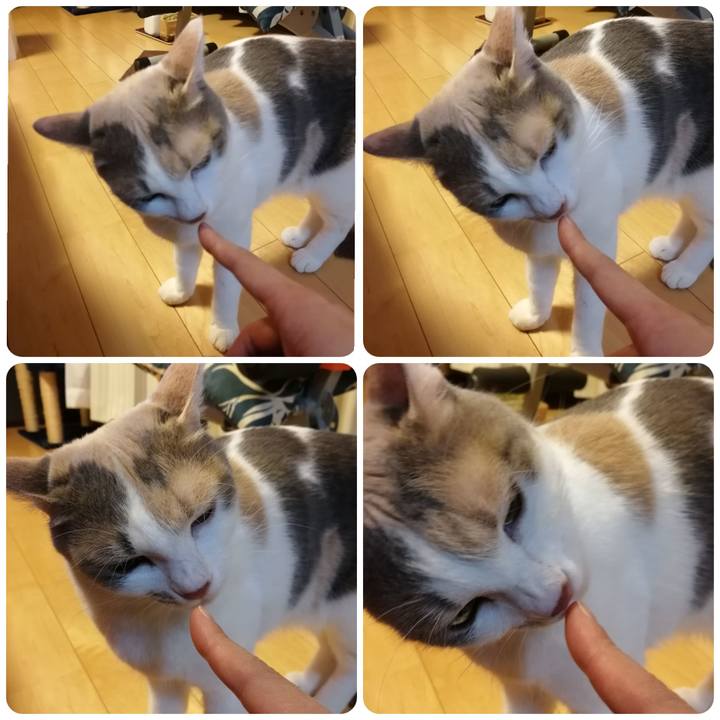 95ade4fe d8ce 4080 b5ad 678029790aee 1550717344595