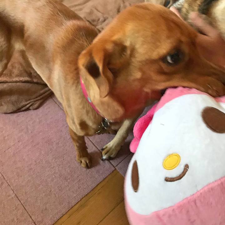 95ae01b9 d3cf 40b8 a4f6 dfee50b4fad9 1518694204397