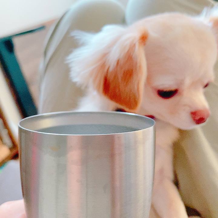 95ae34f7 2cdd 4b21 9bc7 6ad5ae93b9dd 1631084869793