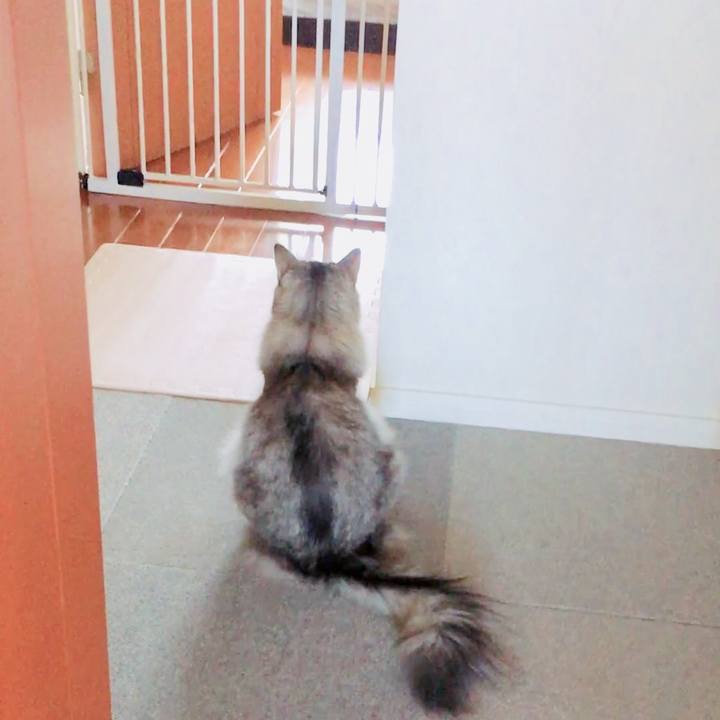 95aed610 d924 4740 a906 386f4a8dcbf6 1530408959662