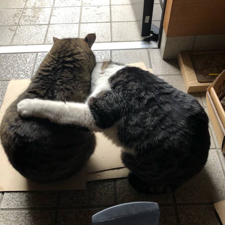 95af160f 58d4 46b3 841b 43f5e06ead4a 1584162184076