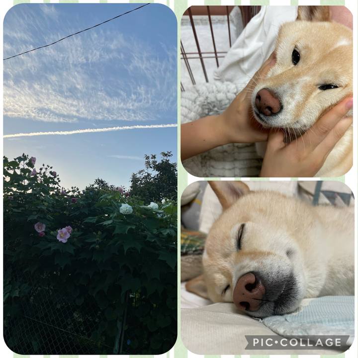 95af4046 f93a 4351 9a0b 704027fac1b4 1664150439945