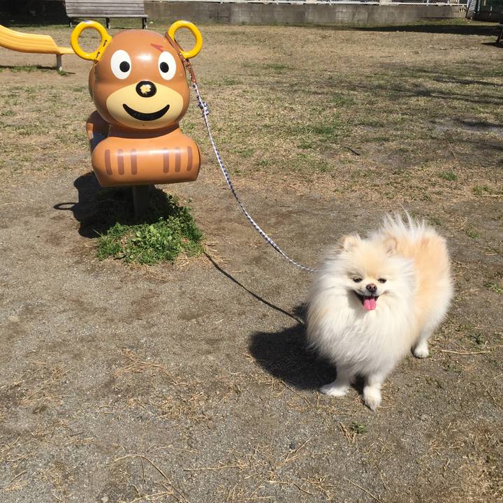 95af4244 9ef4 4102 8677 a084b7f8106f 1521011420344