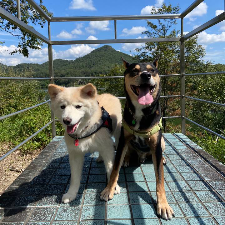 95af65c1 e566 4b2f b903 d547b0dbd81f 1694339174613