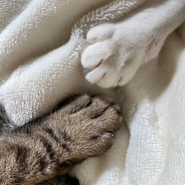 95af6fda cecb 4c26 b9db aeafc0b2dc93 1708565201371