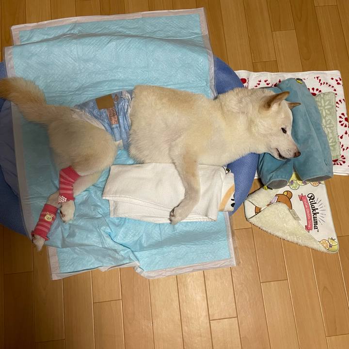 95af7488 a9ae 4c14 b39d c9ea006fde49 1662650443568