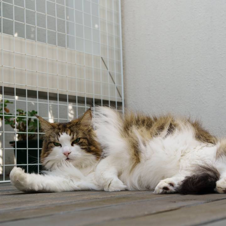 95af7ef2 a570 42f3 9cd9 ada8e65b7c95 1669266755411