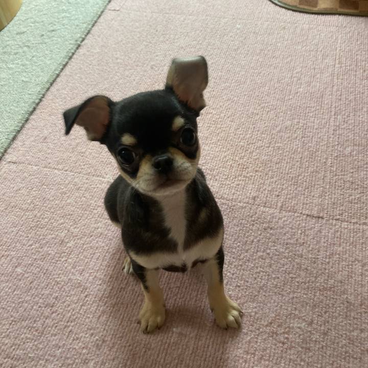 95af9788 c97f 4295 b5b7 15cf8a01917f 1719122505782