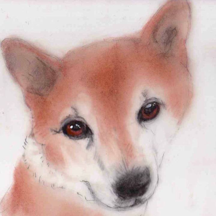 95afdb47 8ba3 4e99 8a69 119d47697cb5 1657023632420