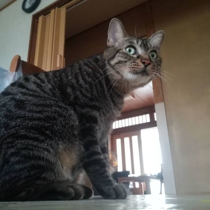 95b011b6 239c 41ee af8c 127e43d69eb5 1536899417155