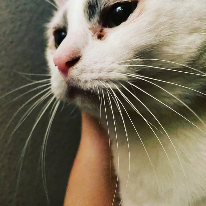 95b01585 41ea 45ab b403 bbbc940b5ae6 1619106530097