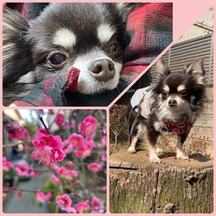 95b03b7b 861f 49c8 86ba c749e8fa9de4 1676285935498