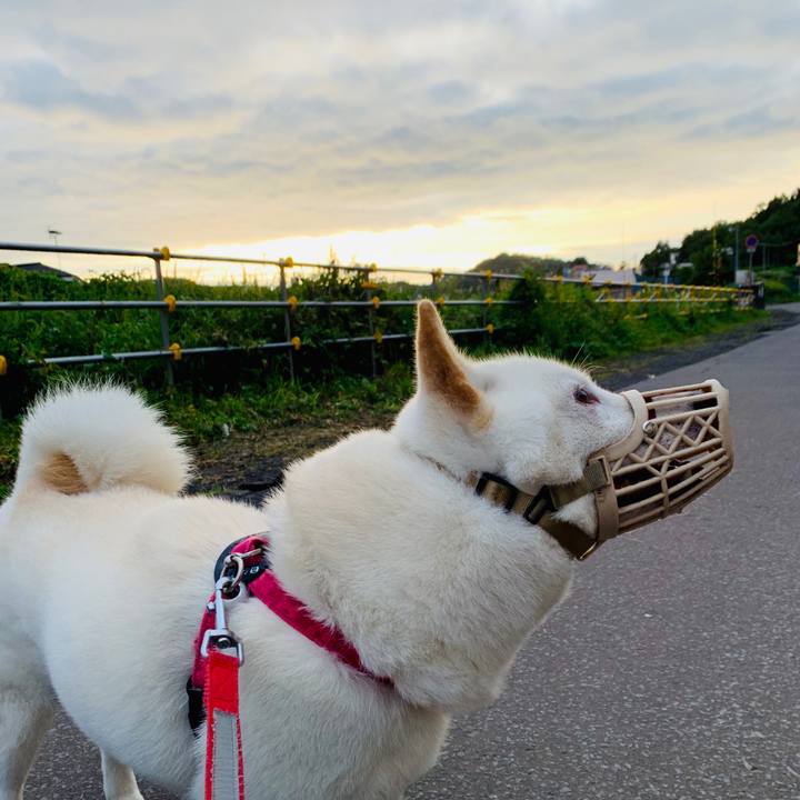 95b03fd0 88ac 4b62 8562 15607e4e7d15 1567113860799