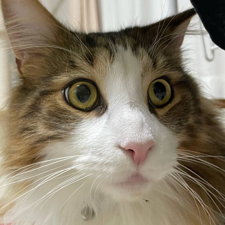 95b09bfb 00ce 4e16 b820 f521eb960ff4 1672264207812