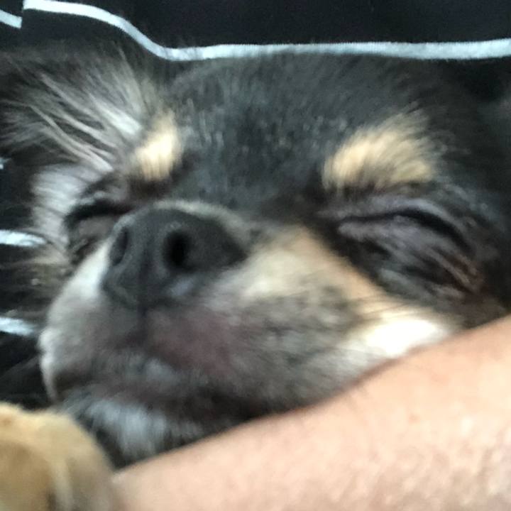 95b0a5c0 12ed 49a3 9203 0712f1e44de5 1538552602972