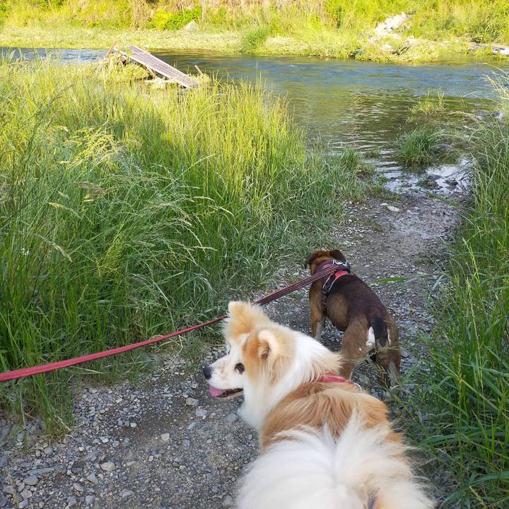 95b0bb3f a7da 45ca a50d 8e762319d0da 1653900319599