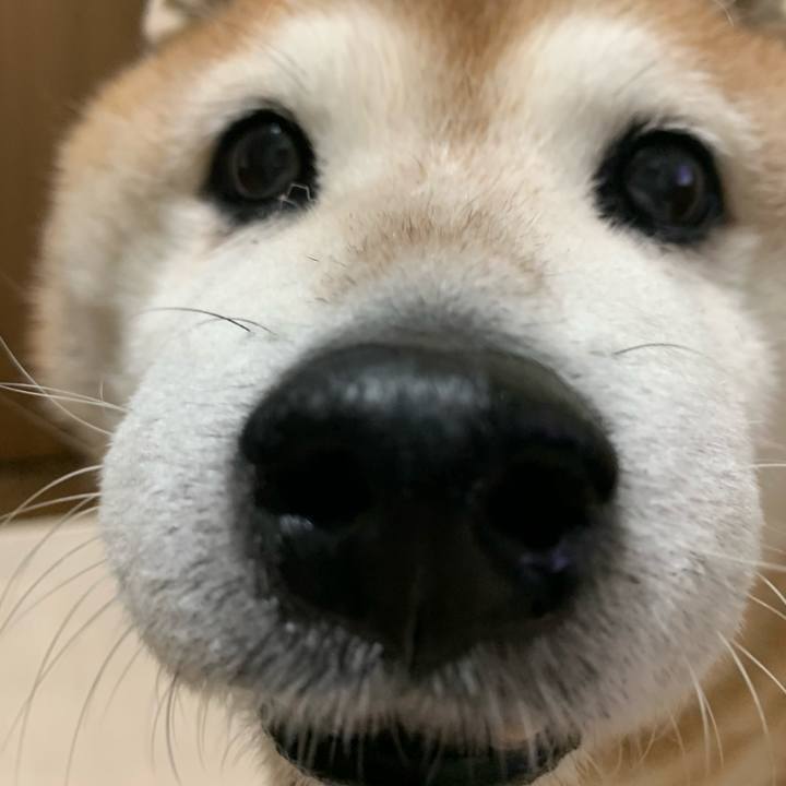 95b0d121 ed66 4259 909a 04407ddaece0 1606731543289