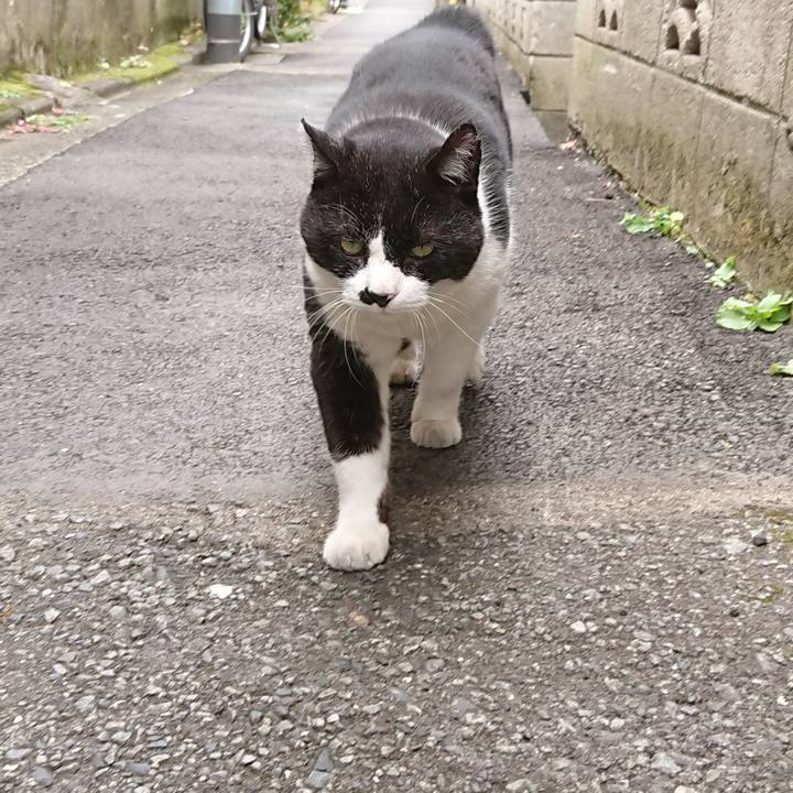 95b0f7cb 98af 4383 8c3f 658f49f8045f 1624762318702