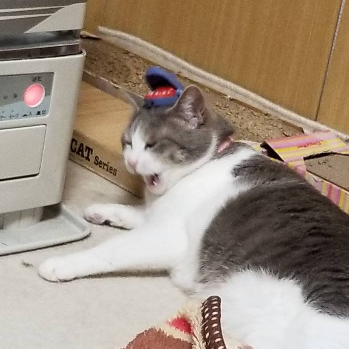 95b10265 5e36 4c92 aacb 0f84917aaae7 1570975463392