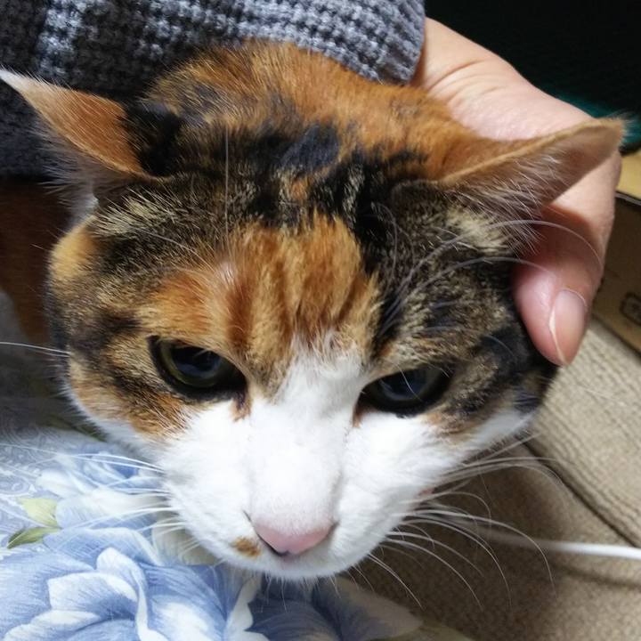 95b11dd9 edd8 4fd4 9ce8 5e345fb292b3 1546601132154