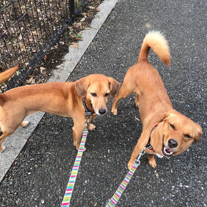 95b18026 3914 4f7f 91dd 6fc15f8ed3e5 1539567929642