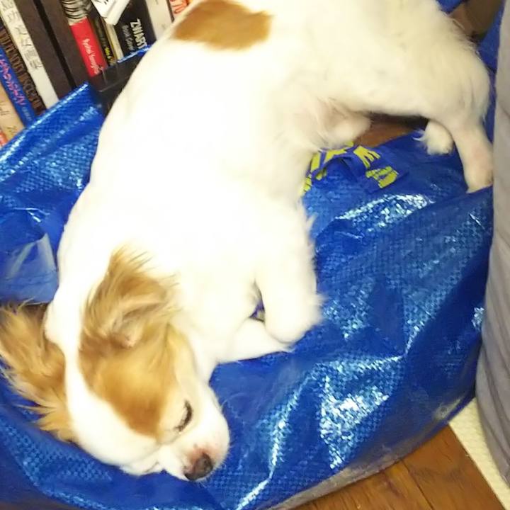 95b1aad0 dbfc 4876 ade2 48cb199853d6 1592142197338