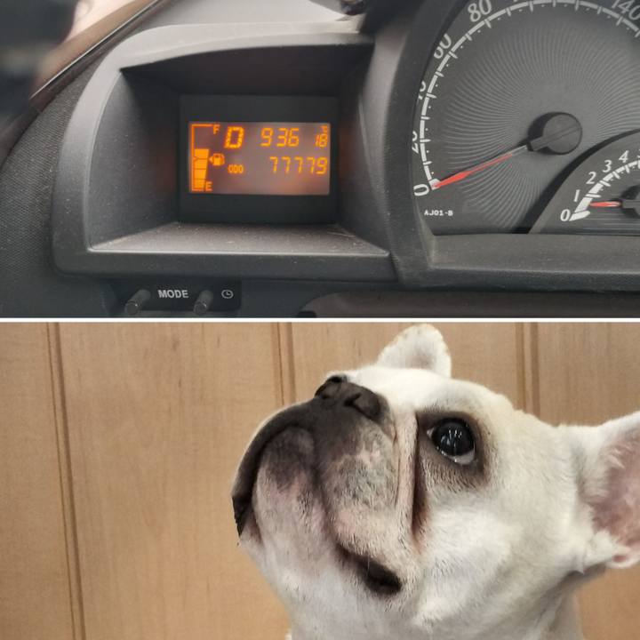 95b1c976 d8f9 4ca5 bb92 b01ec14a055f 1686047530727